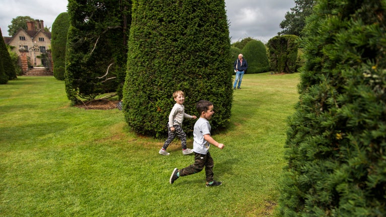 Two small boys running among the yew trees on a green-grass lawn with a gabled cottage in the distance on the left and am older male visitor in the distance on the right.